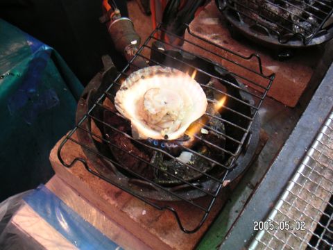 s_pict0091.jpg
